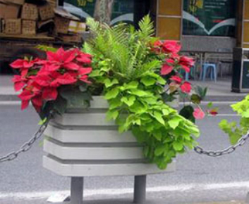 街边植物花箱